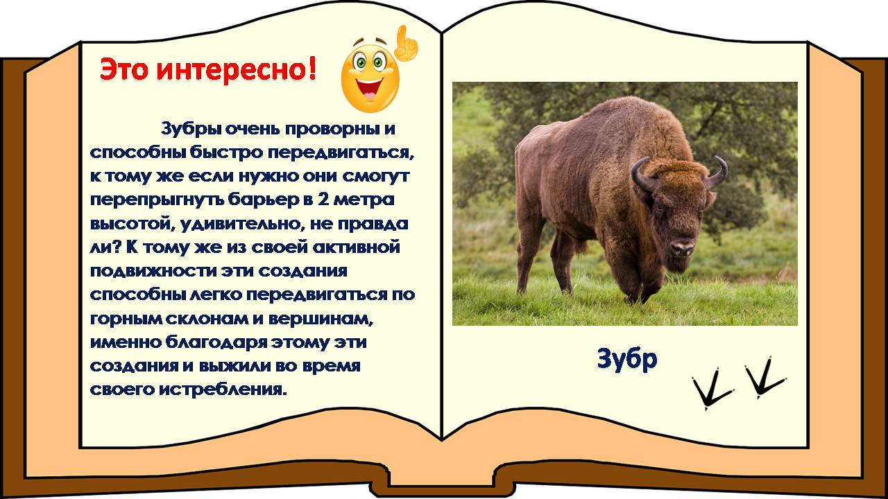 Мир природы – это удивительный пример мудрости, красоты и гармонии. Именно мир животных особенно близок каждому из нас. И. Акимушкин