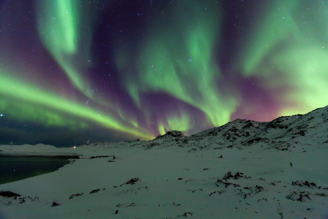 Арктика – далекая и близкая!
