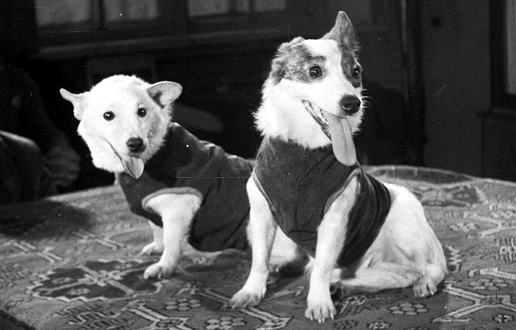 Космическая прогулка