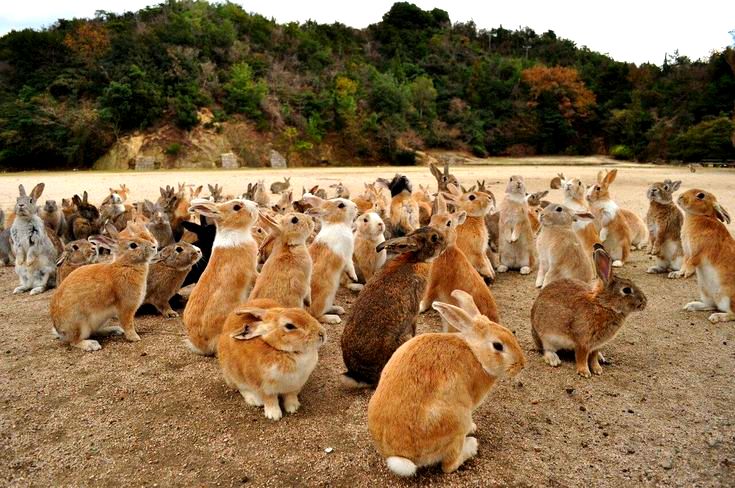 Мир, полный неожиданностей и загадок  