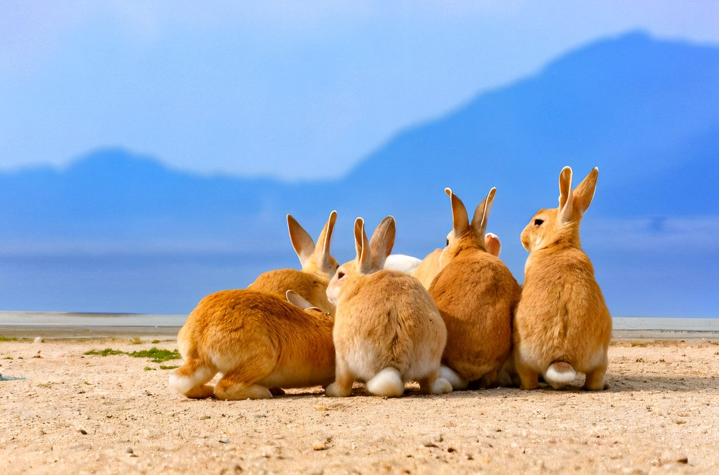 Мир, полный неожиданностей и загадок  