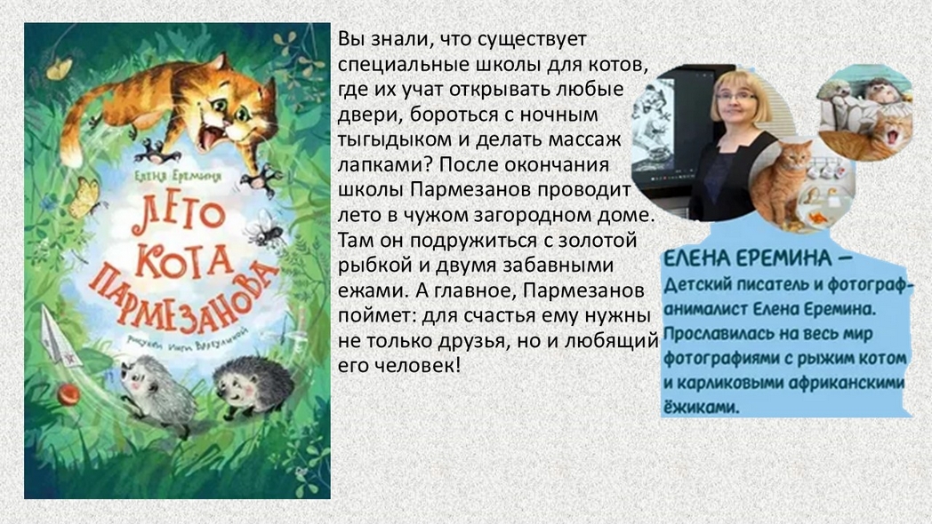 Котовасия в книжном царстве